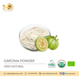 Pure Organic Best Quality Garcinia Powder for Europe