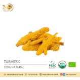 Hot Selling Organic Natural Spice - Ceylon Turmeric at Wholesale Price
