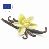 Organic Vanilla Beans Premium Quality for Europe
