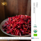 Best Quality Fresh Red Hot Chili from Sri Lanka