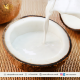 2022 Bulk Selling Pure Organic Coconut Milk - 7% Fat