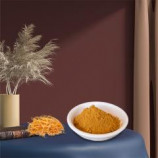 Organic Cordyceps militaris  Extract Powder 1:1