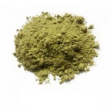 Avocado Powder - Organic Premium Fruit Powder in Bulk from Ceylon