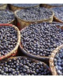 Acai Freeze Dried Powder Organic Acai Freeze Dried Powder Organic