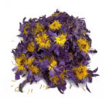 Premium quality Blue Lotus dried form SriLanka Premium quality Blue Lotus dried form SriLanka