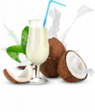 Organic Premium Coconut Milk - 17% Fat in Bulk