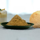 Organic Lion's mane Dual Extract (Freeze dried)