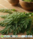 Organic Ceylon Moringa Leaves