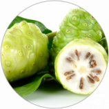 Noni Fruit Powder Organic Noni Fruit Powder Organic