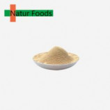 Organic rice protein powder
