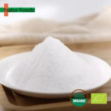 Wholesale Organic Fructo oligosaccharide FOS Powder