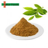 Organic Green Tea Extract Tea polyphenols 30%