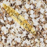 Andina Quinoa / Canihua Flakes Mix - 50%/50%