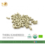 Organic Thebu and Canereed Capsules in Bulk and Private Label