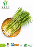 Organic Ceylon Lemongrass whole
