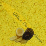 YaconPro Yacon Root Powder