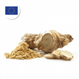 Premium quality Organic Ginger Powder for Europe