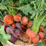 Beet Root Juice Powder, Organic Beet Root Juice Powder, Organic