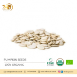 Premium Quality Pumpkin Seeds from Sri Lanka Premium Quality Pumpkin Seeds from Sri Lanka