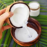 Organic Premium Coconut Milk - 11% Fat in Bulk