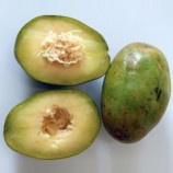 Organic June Plum Fruit Powder from Sri Lanka buy bulk