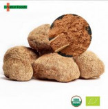 Organic Lion&#039;s Mane Extract Hericium erinaceus Powder