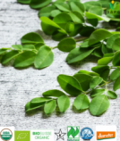 Organic Ceylon Moringa Leaves