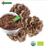 Organic Grifola Frondosa Powder Extract Maitake Mushroom Extract