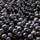 Acai Organic Powder