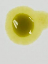 Acai Organic Oil