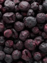 Blueberries Organic - REVdried - Beyond Freeze Dried