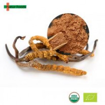Organic Cordyceps Sinensis Extract 30% CS-4 Polysaccharide β-glucan