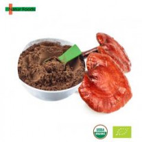 Organic Reishi Powder Extract