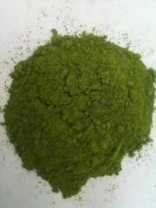 Organic betel Leaves for Oil Extraction in Bulk from Sri Lanka