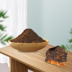 Buy Chaga Mushroom Powder | Best Organic Chaga Extract  Powder 1:1