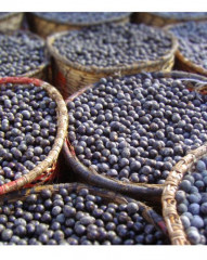 Acai Freeze Dried Powder Organic