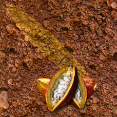 Cacao XP Raw Organic Criollo Cacao Powder