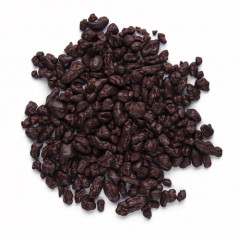 Cacao Nibs Covered in Dark  Chocolate - Organic