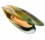 Green Lipped Mussel Powder