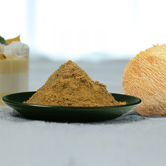 Organic Lion's mane Dual Extract (Freeze dried)