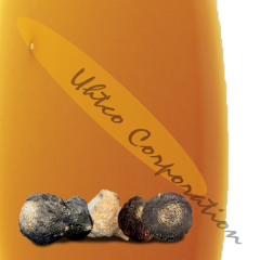 MacaPro XP Liquid Maca Extract 15:1