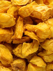 Mango Organic - REVdried - Beyond Freeze Dried