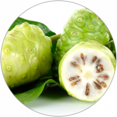 Noni Fruit Powder Organic