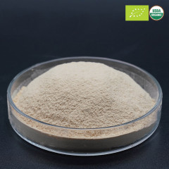 Bulk Organic Yeast Beta-Glucan Powder