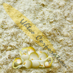 Andina Sprouted Quinoa Powder, Organic