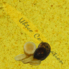YaconPro Yacon Root Powder