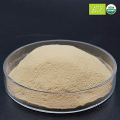 Organic Yeast Powder Organic Yeast Extract