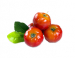 Acerola Juice Powder 12% Vit. C, Organic