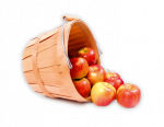 Apple Juice Powder Organic