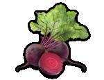 Beetroot Powder Organic